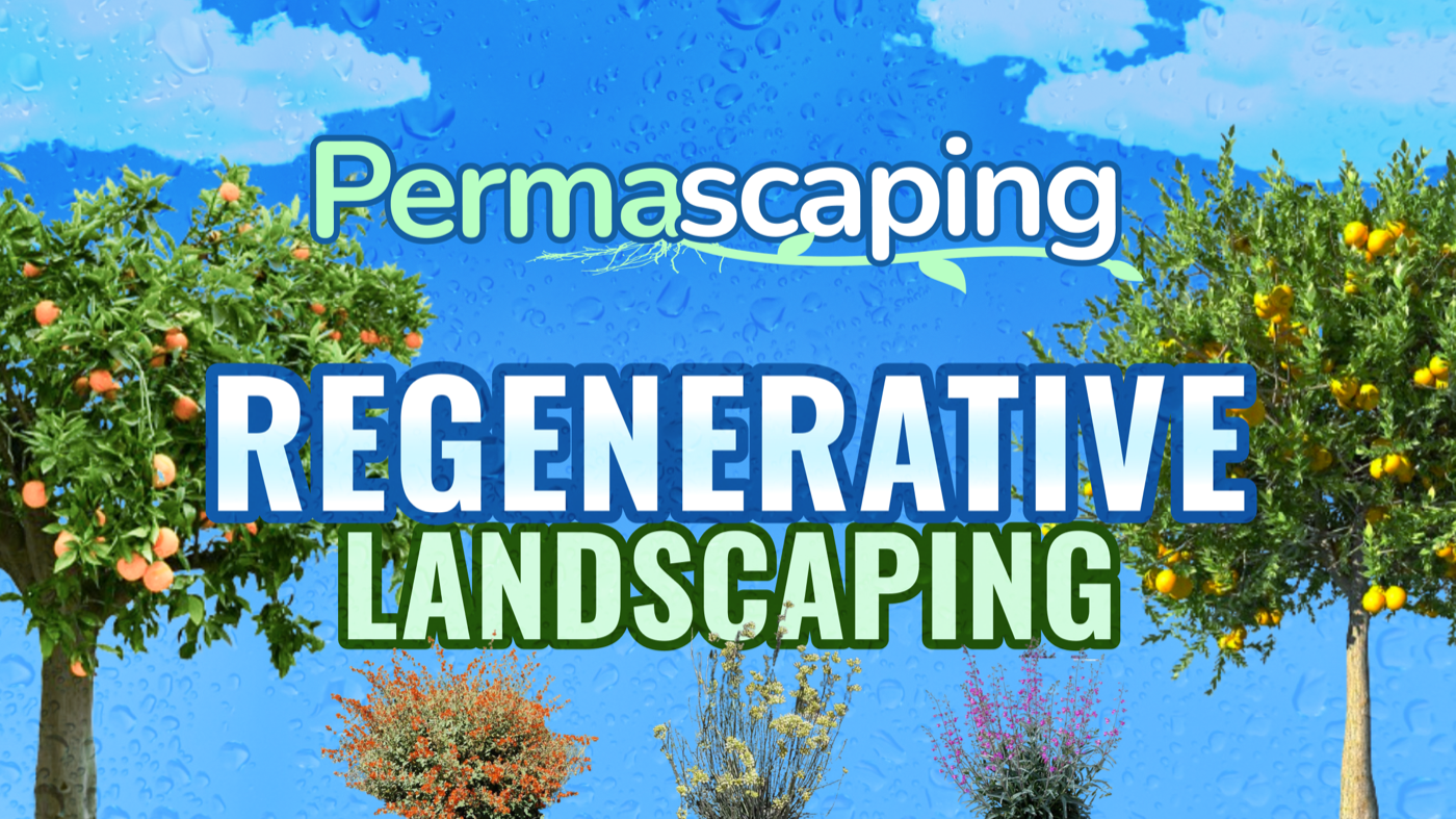 Permascaping